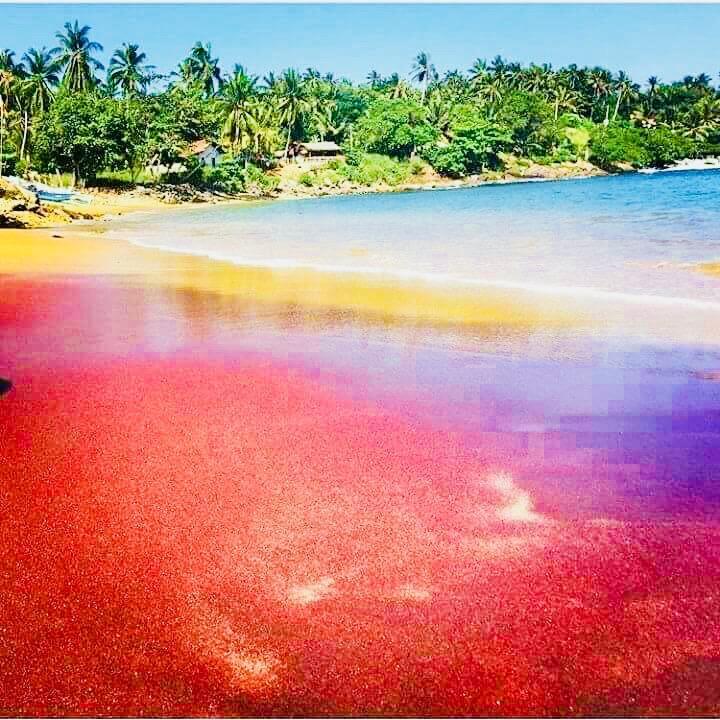 Amour Surf Тангалле Екстер'єр фото